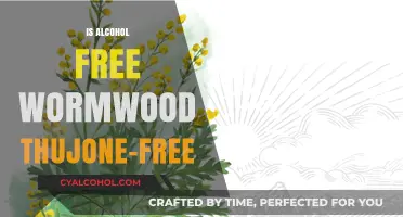 Alcohol-Free Wormwood: Is It Truly Thujone-Free? Exploring the Facts