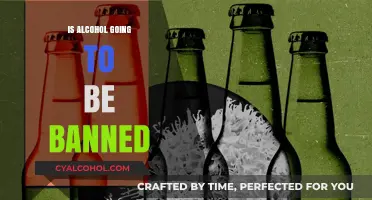 Will Alcohol Be Banned? Exploring the Future of Drinking Laws
