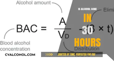 Does Alcohol Fully Leave Your System in Just 30 Hours?
