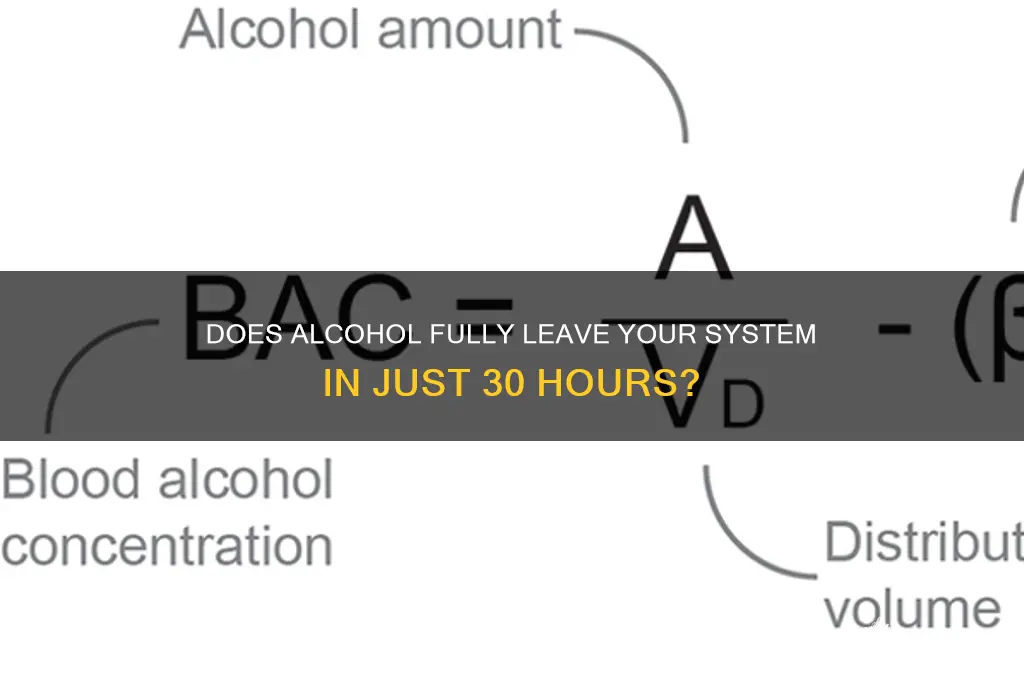 is alcohol gone in 30 hours
