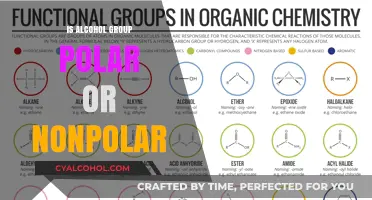 Understanding Alcohol Groups: Polar or Nonpolar? A Chemical Insight