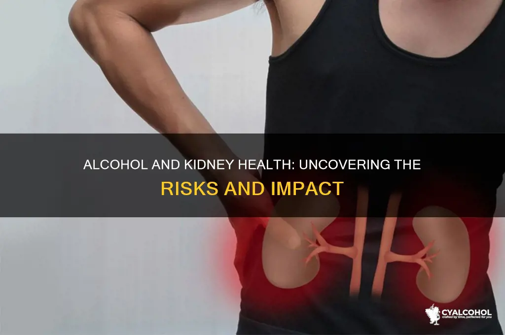 is alcohol harmful to your kidneys