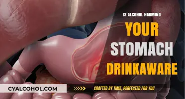 Is Alcohol Damaging Your Stomach? Drinkaware Insights and Tips