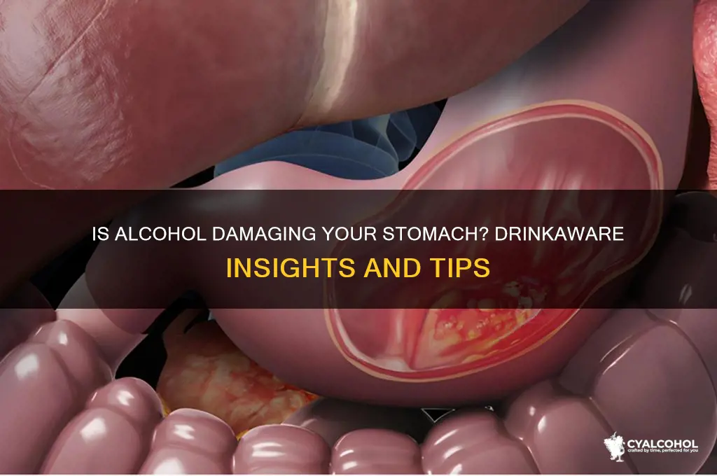 is alcohol harming your stomach drinkaware