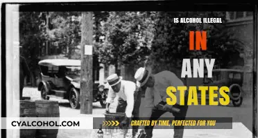 Is Alcohol Illegal in Any States? Exploring Prohibition Laws Today