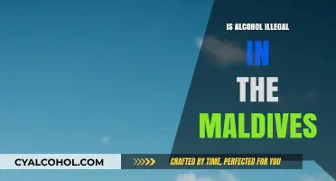 Is Alcohol Illegal in the Maldives? Exploring Local Laws and Tourism Rules