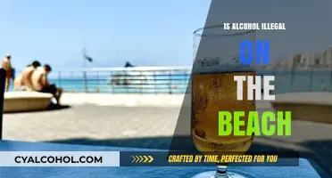 Is Alcohol Illegal on the Beach? Laws and Regulations Explained