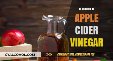 Does Apple Cider Vinegar Contain Alcohol? Facts and Insights Revealed