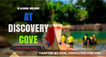 Does Discovery Cove Include Alcohol in Their All-Inclusive Experience?