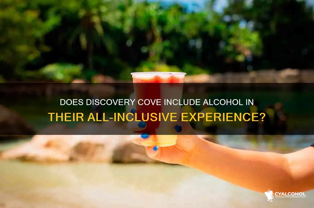 is alcohol included at discovery cove