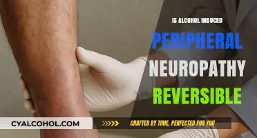 Reversing Alcohol-Induced Peripheral Neuropathy: Is Recovery Possible?