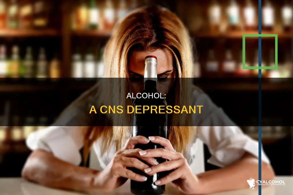 is alcohol is a central nervous system cns depressant