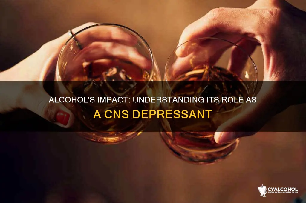 is alcohol is a central nervous system depressant