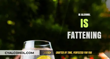 Is Alcohol Fattening? Uncovering the Truth About Calories and Weight Gain