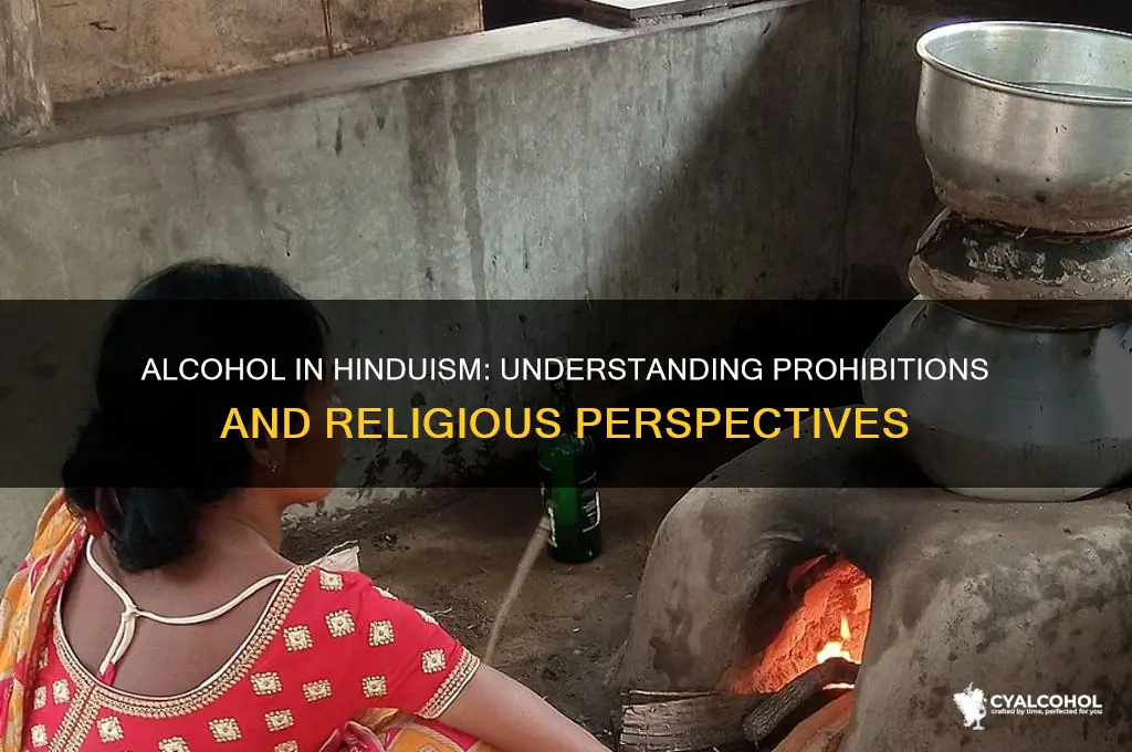 is alcohol is prohibited in hinduism