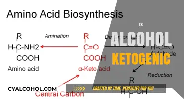 Is Alcohol Ketogenic? Understanding Its Impact on Your Keto Diet