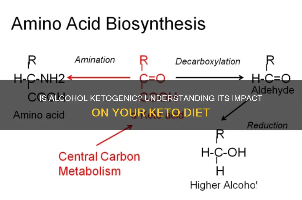 is alcohol ketogenic