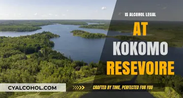 Is Alcohol Allowed at Kokomo Reservoir? Legal Guidelines Explained
