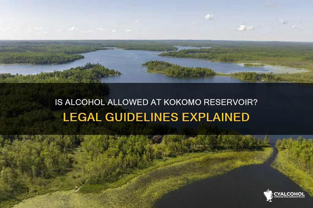 is alcohol legal at kokomo resevoire