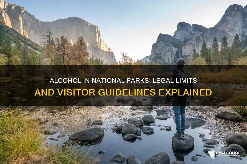 is alcohol legal in national parks