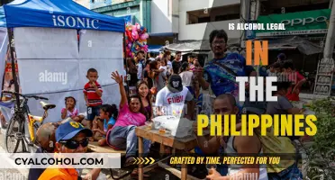 Is Alcohol Legal in the Philippines? Understanding Local Laws and Regulations