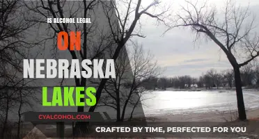 Is Alcohol Allowed on Nebraska Lakes? Legal Insights and Rules