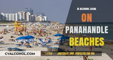 Is Alcohol Allowed on Florida Panhandle Beaches? Legal Insights