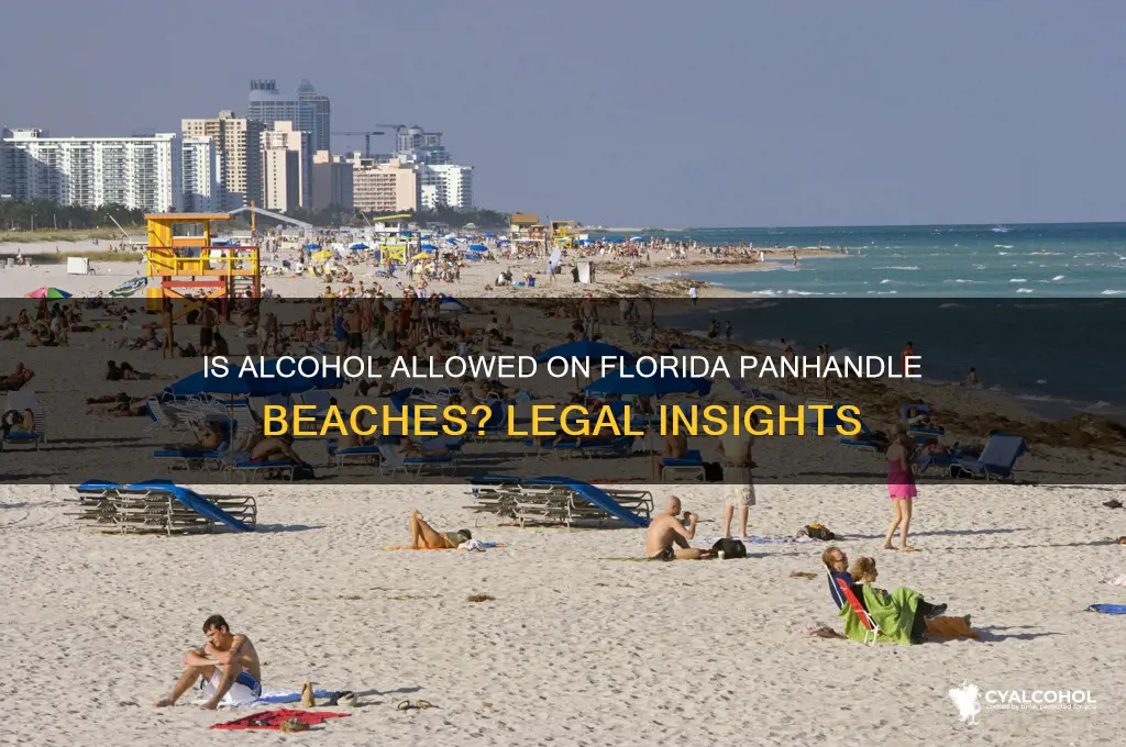 is alcohol legal on panahandle beaches