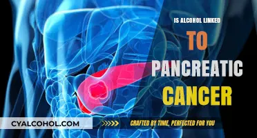 Alcohol and Pancreatic Cancer: Uncovering the Potential Connection and Risks