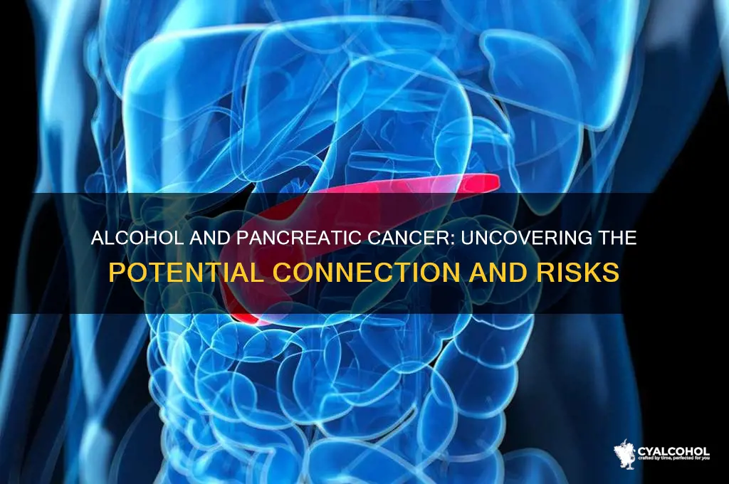 is alcohol linked to pancreatic cancer