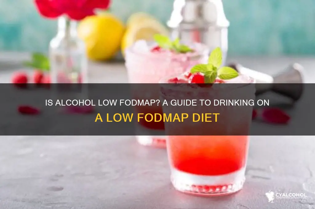 is alcohol low fodmap