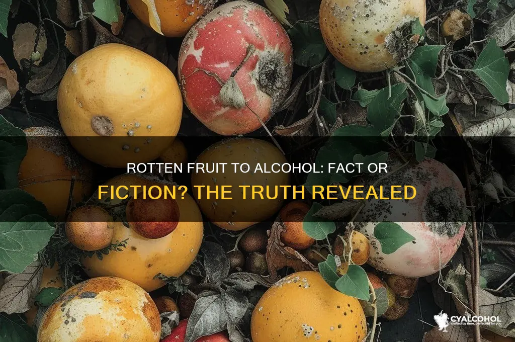 is alcohol made from rotten fruit