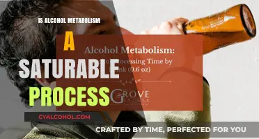 Understanding Alcohol Metabolism: Is It a Saturable Process?