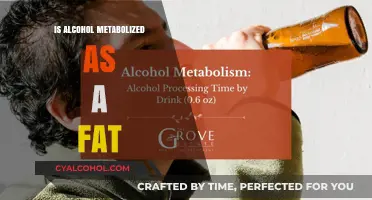 Alcohol Metabolism Explained: Does Your Body Treat It Like Fat?