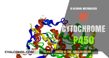 Cytochrome P450: The Key Enzyme in Alcohol Metabolism Explained