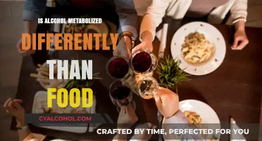 How Alcohol Metabolism Differs from Food Digestion: Key Insights