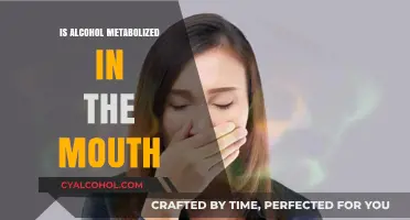 Does Alcohol Metabolism Begin in the Mouth? Exploring the Science