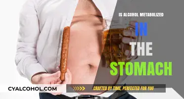 How Alcohol Metabolism Begins: Stomach's Role in Breaking Down Alcohol