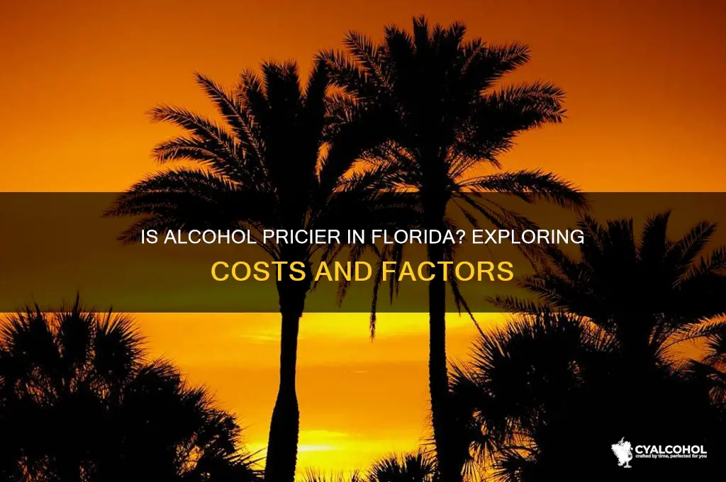 is alcohol more expensive in florida