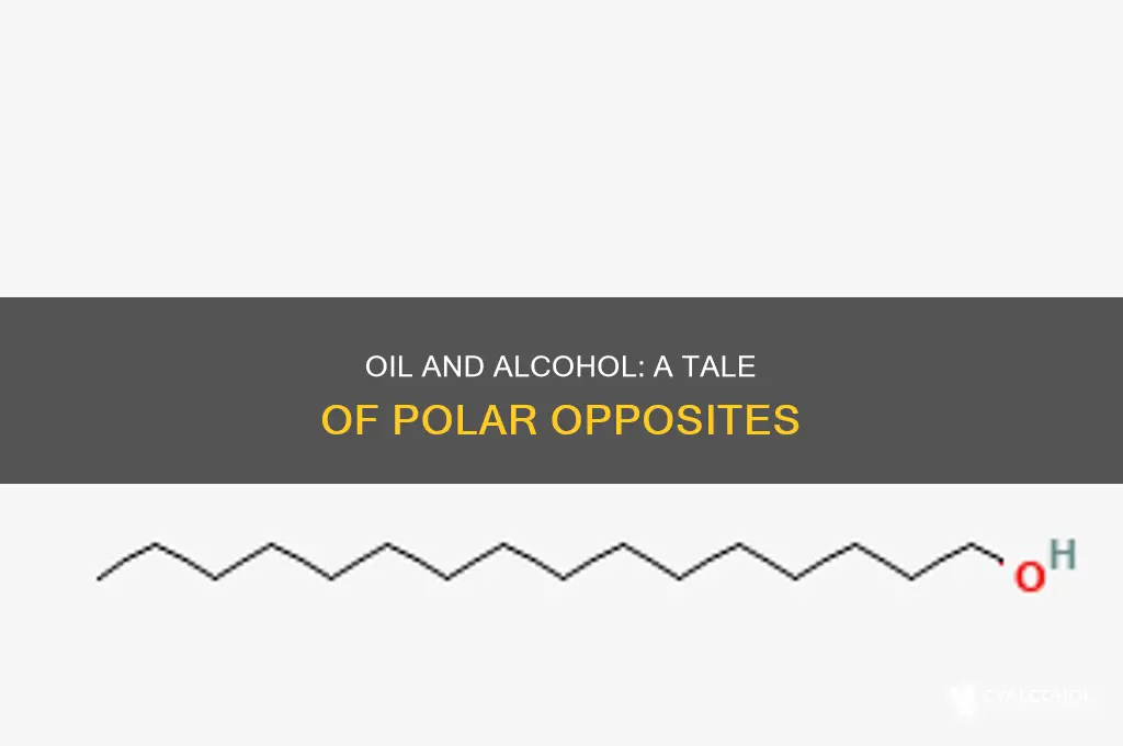 is alcohol more or less polar than oil