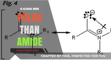 Alcohol vs. Amide Polarity: Unraveling the Molecular Differences