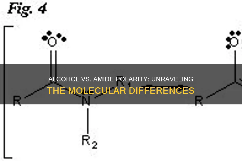 is alcohol more polar than amide