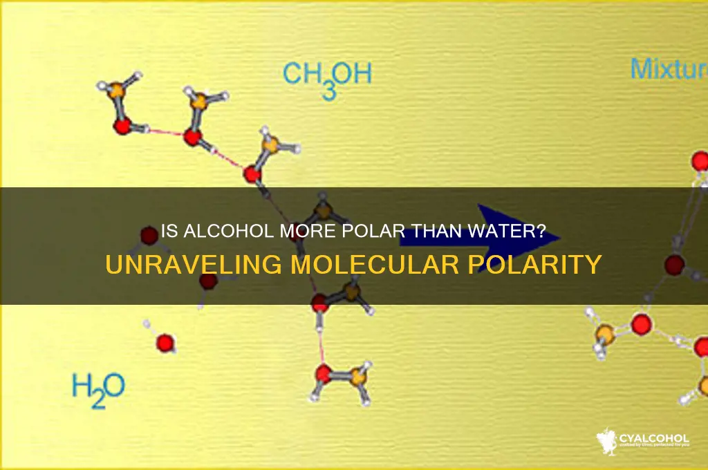 is alcohol more polar than o