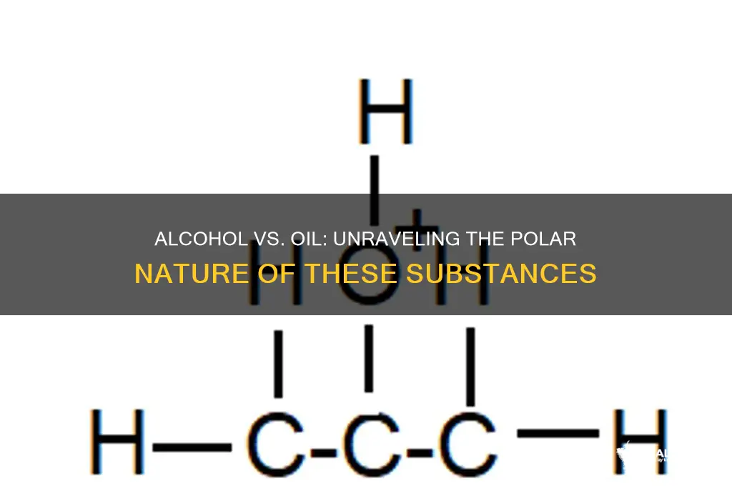 is alcohol more polar than oil