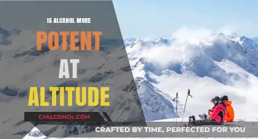 Altitude's Impact: Does Alcohol Hit Harder at Higher Elevations?