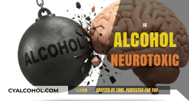 Is Alcohol Neurotoxic? Uncovering the Brain's Vulnerability to Ethanol