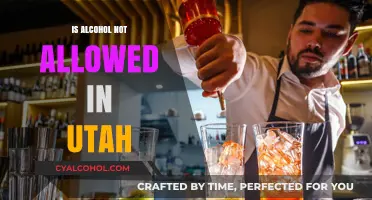 Utah's Alcohol Laws: What's Allowed and What's Not?