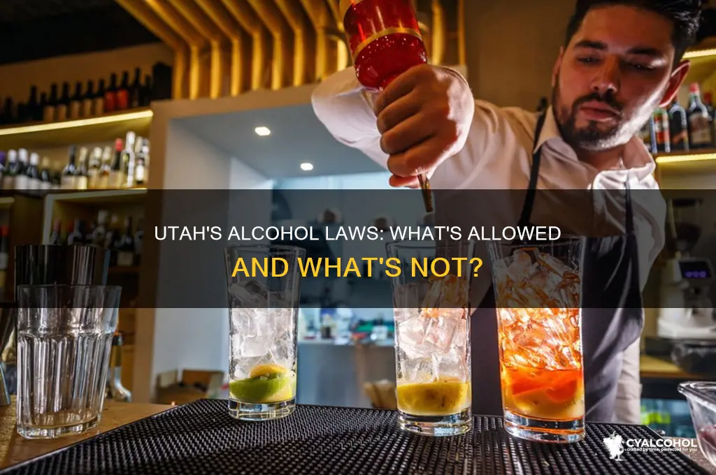 is alcohol not allowed in utah