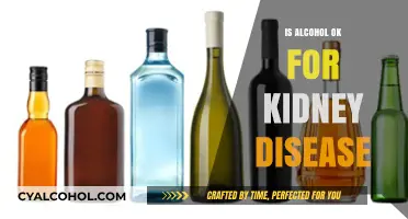 Alcohol and Kidney Disease: Safe or Risky for Your Kidneys?