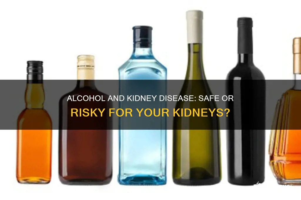 is alcohol ok for kidney disease